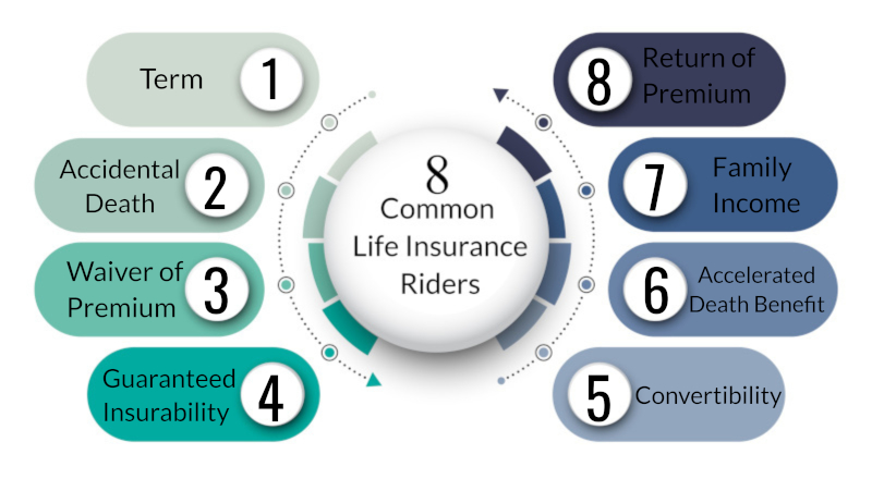 What Are Life Insurance Riders 8 Common Types Of Riders