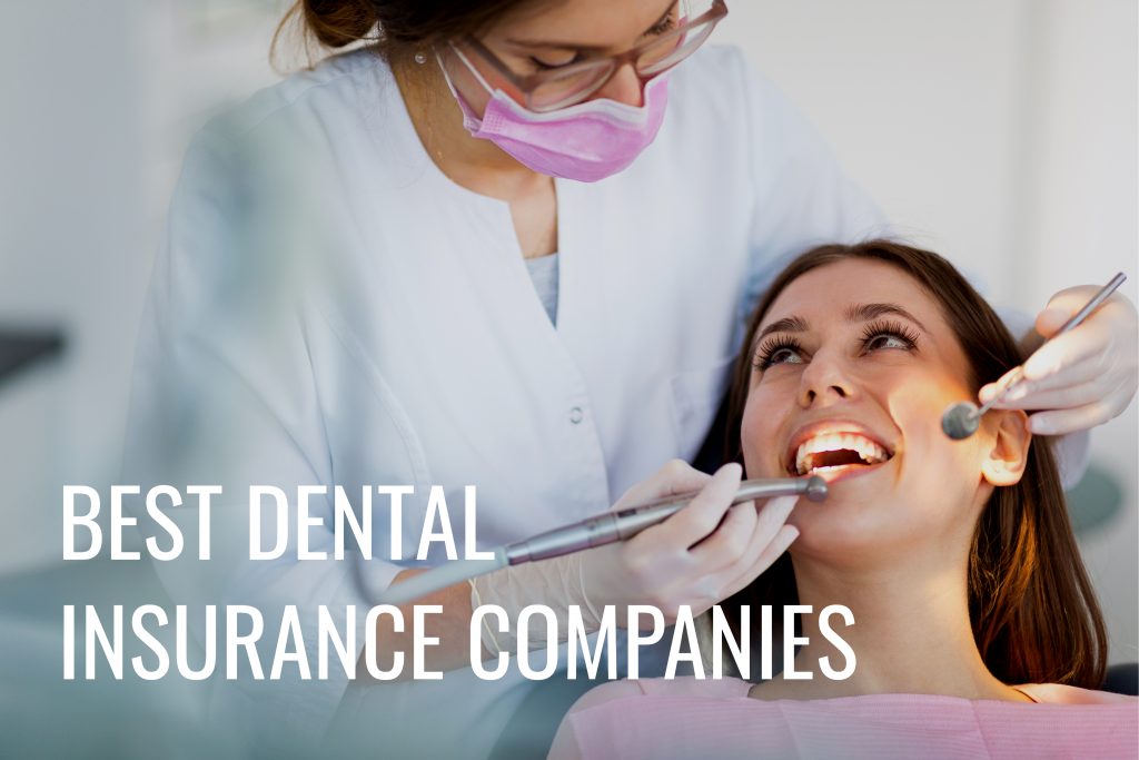 Best Dental Insurance Mi